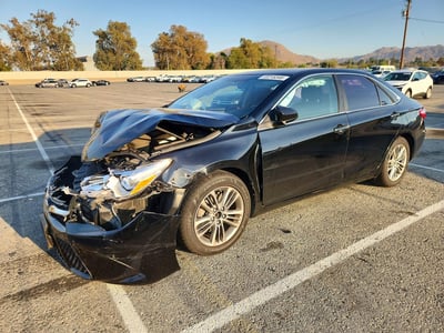 4T1BF1FK8FU****** 2015 Toyota Camry