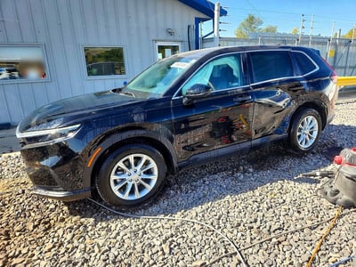 5J6RS3H71RL****** 2024 Honda CR-V