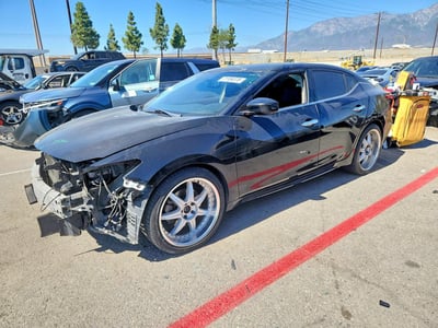 1N4AA6APXGC****** 2016 Nissan Maxima