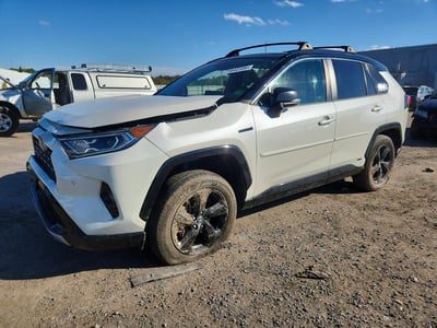 2T3EWRFV4LW****** 2020 Toyota RAV4