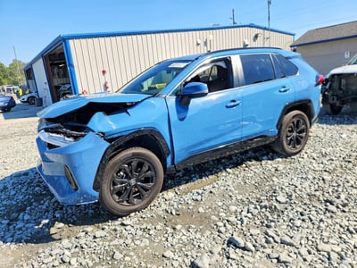 4T3T6RFV8RU****** 2024 Toyota RAV4 Hybrid