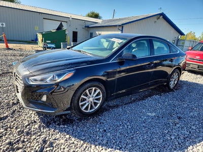 5NPE24AFXKH****** 2019 Hyundai Sonata