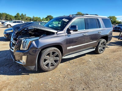 1GYS4BKJ1GR****** 2016 Cadillac Escalade