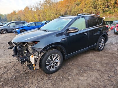JTMRJREV7HD****** 2017 Toyota RAV4
