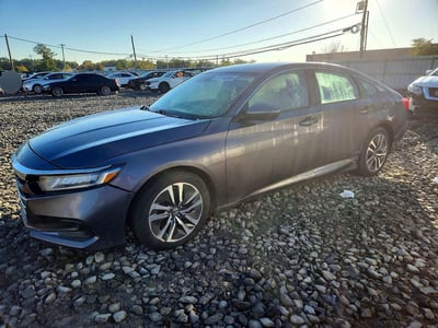 1HGCV3F17MA****** 2021 Honda Accord Hybrid