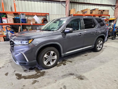 5FNYG1H57PB****** 2023 Honda Pilot
