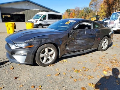 1FA6P8TH2K5****** 2019 Ford Mustang