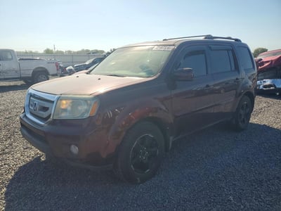 5FNYF4H62AB****** 2010 Honda Pilot
