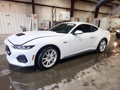 1FA6P8CF2R5****** 2024 Ford Mustang