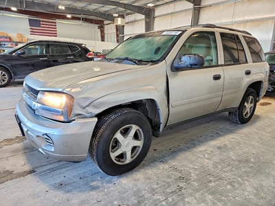 1GNDT13SX62****** 2006 Chevrolet Trailblazer
