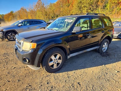 1FMCU9C71AK****** 2010 Ford Escape