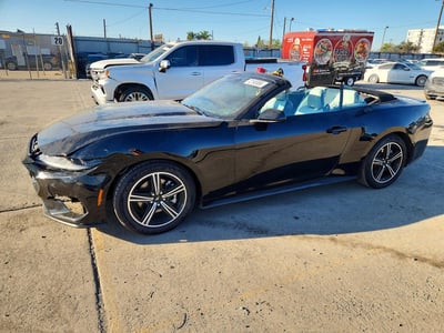 1FAGP8UHXR5****** 2024 Ford Mustang