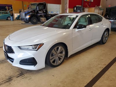 19UUB6F44MA****** 2021 Acura TLX