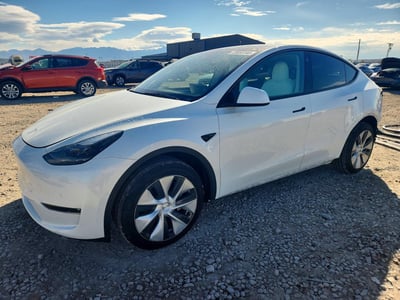 7SAYGDEE9NF****** 2022 Tesla Model Y