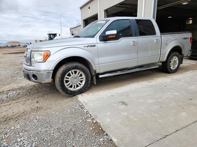 1FTFW1EV1AK****** 2010 Ford F-150