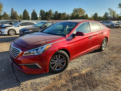 5NPE24AF6GH****** 2016 Hyundai Sonata