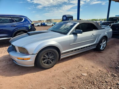 1ZVFT84NX55****** 2005 Ford Mustang