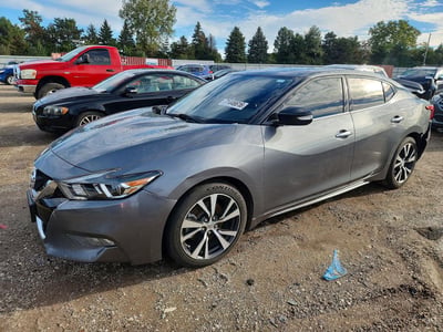 1N4AA6AP0GC****** 2016 Nissan Maxima