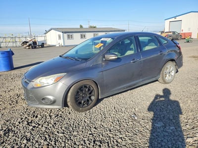 1FADP3F21EL****** 2014 Ford Focus