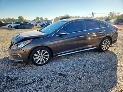 5NPE34AF4GH****** 2016 Hyundai Sonata