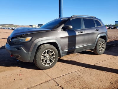 1C4PJMBX5LD****** 2020 Jeep Cherokee