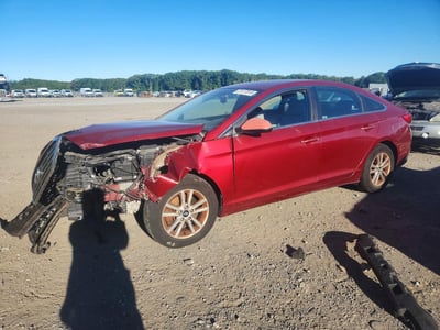 5NPE24AF6FH****** 2015 Hyundai Sonata