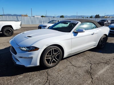 1FATP8UH8P5****** 2023 Ford Mustang