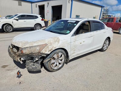 1HGCP2F88AA****** 2010 Honda Accord