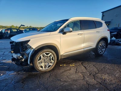 KM8S5DA11NU****** 2022 Hyundai Santa Fe