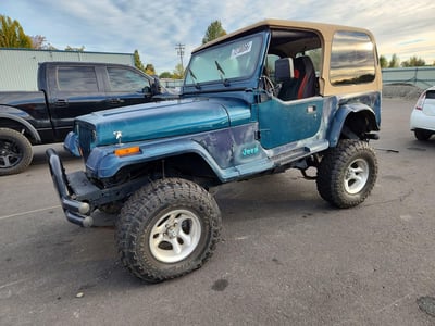 1J4FY29S0SP****** 1995 Jeep Wrangler
