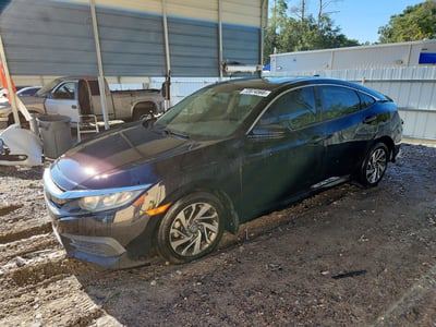 2HGFC2F72HH****** 2017 Honda Civic