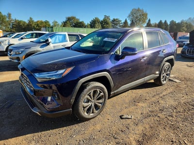 JTMD6RFV2RD****** 2024 Toyota RAV4 Hybrid