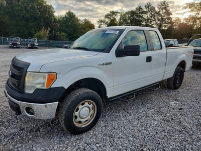 1FTFX1EF5DK****** 2013 Ford F-150