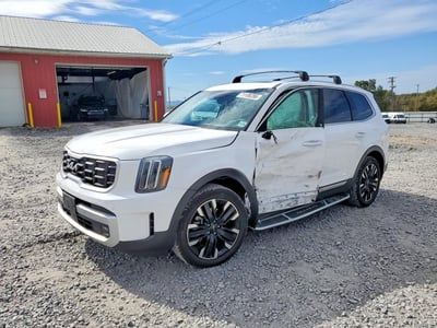 5XYP5DGC1RG****** 2024 Kia Telluride