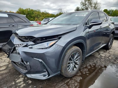 2T2GKCEZ4PC****** 2023 Lexus NX 350h