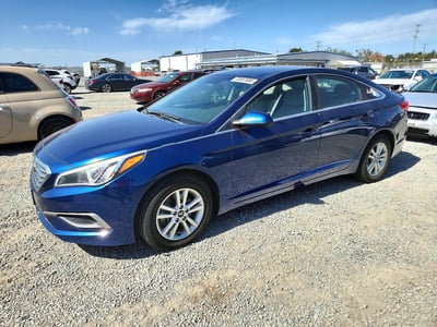 5NPE24AF6HH****** 2017 Hyundai Sonata