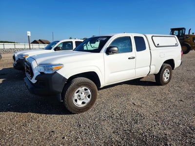 3TYRX5GNXPT****** 2023 Toyota Tacoma