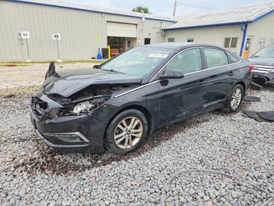 5NPE24AF6FH****** 2015 Hyundai Sonata