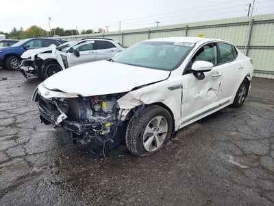 KNAGM4ADXG5****** 2016 Kia Optima