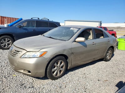 4T1BE46K69U****** 2009 Toyota Camry