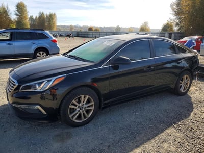 5NPE24AF9FH****** 2015 Hyundai Sonata