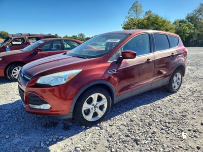 1FMCU0G79GU****** 2016 Ford Escape