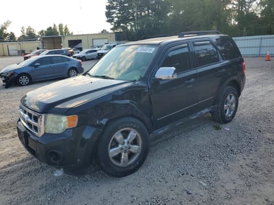 1FMCU03719K****** 2009 Ford Escape