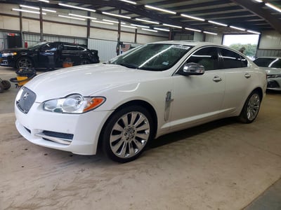 SAJWA06BX9H****** 2009 Jaguar XF