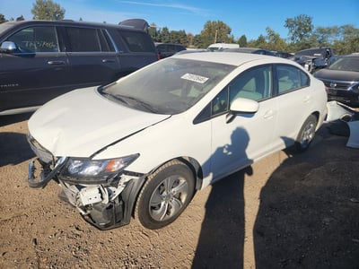 19XFB2F51FE****** 2015 Honda Civic