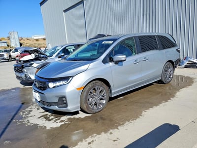 5FNRL6H86TB****** 2026 Honda Odyssey