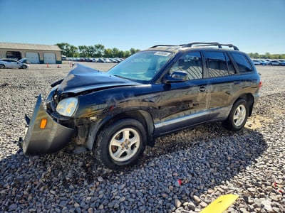 KM8SC13D52U****** 2002 Hyundai Santa Fe