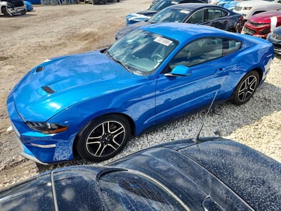 1FA6P8TH3K5****** 2019 Ford Mustang