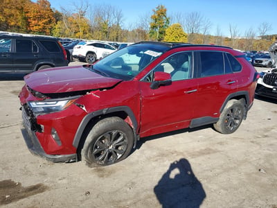 4T3D6RFV0RU****** 2024 Toyota RAV4 Hybrid