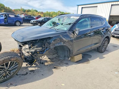 KM8J3CAL0LU****** 2020 Hyundai Tucson